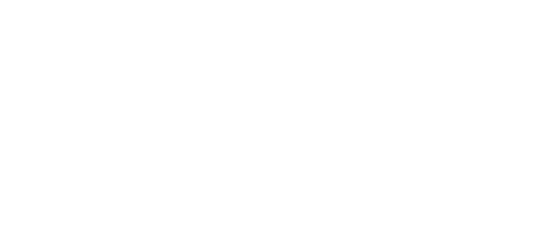 Bimono-logo